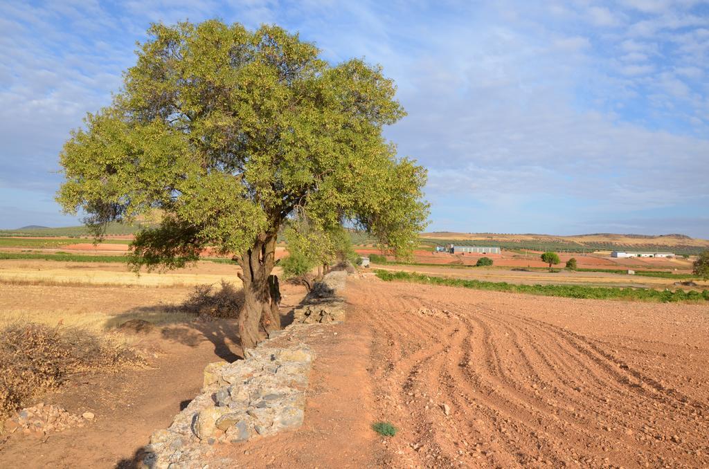 Apartamentos Turisticos La Vida De Antes Consuegra Ngoại thất bức ảnh